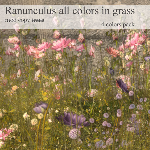 Second Life Marketplace Samsa . ranunculus 24 flower pack 4 colors